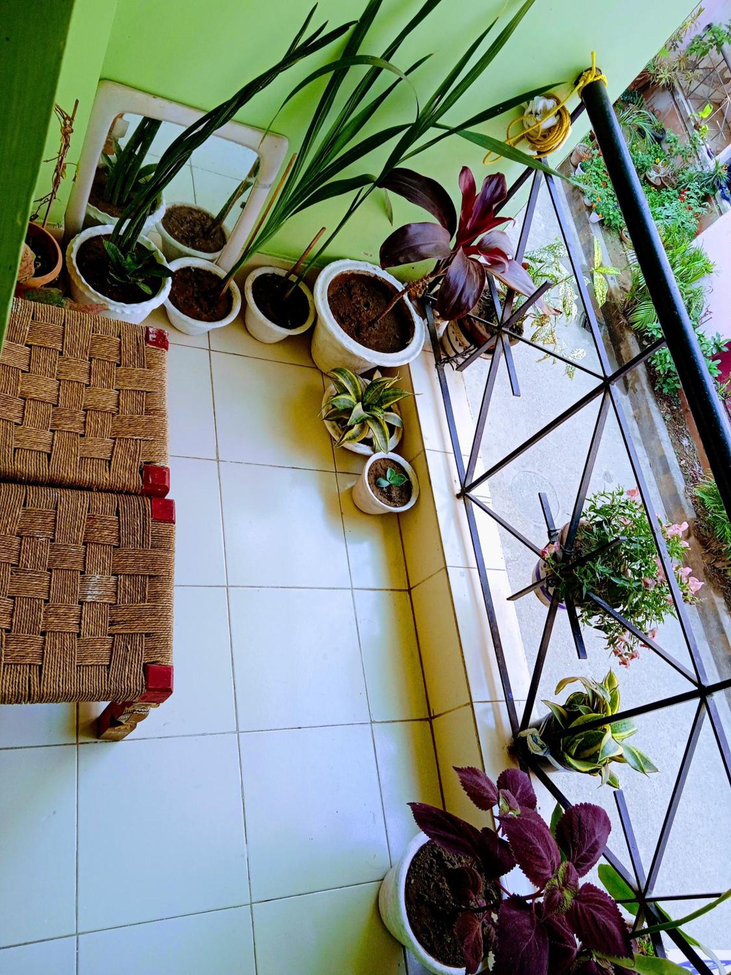 Bhoboghure Homestay Santiniketan Bolpur Exterior photo
